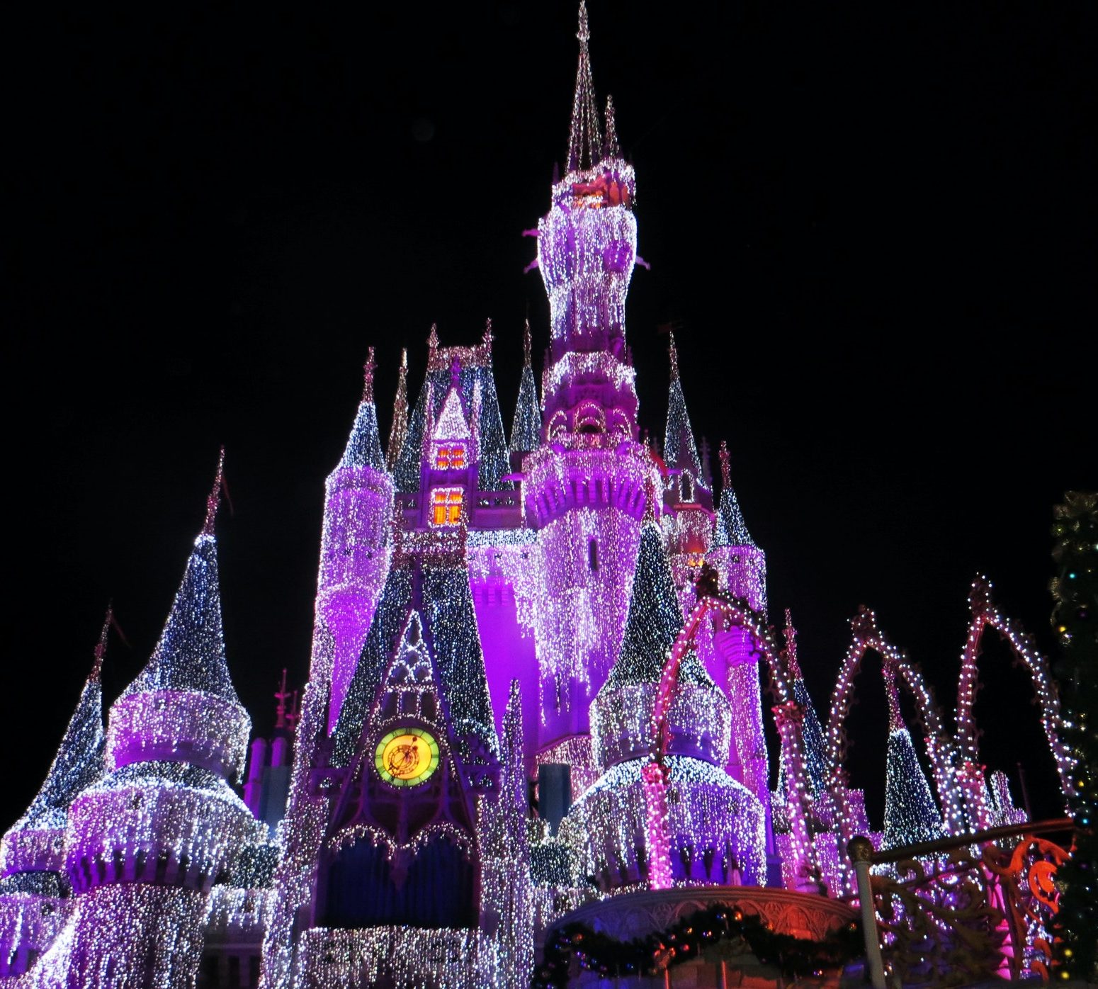 Disney Castle Purple Lights