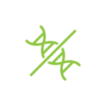adn green icon