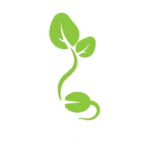 Plant ingredient icon