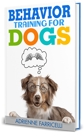behavior dogs book