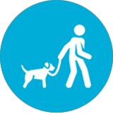 walk dog badge
