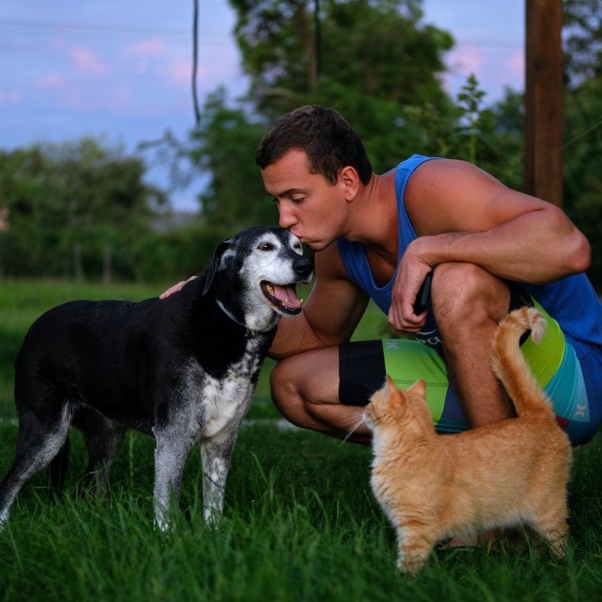 Guy kissing his dog with his cat watching