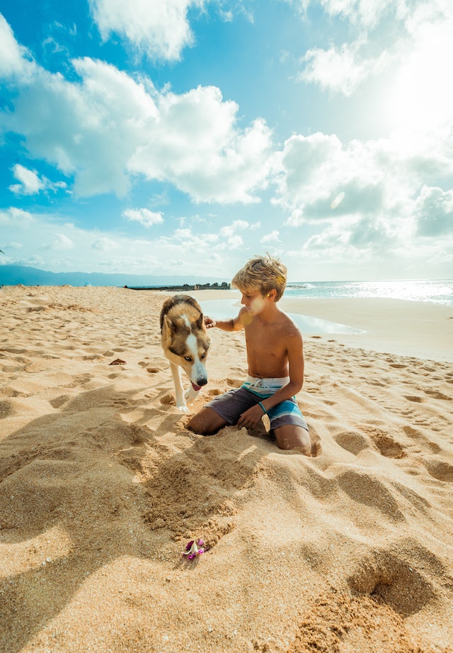 Kid playing with his dog on the beach