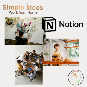 Notion Testimonies Cover